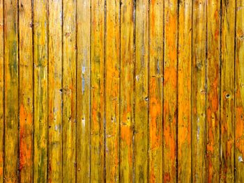 Stain vs. Paint - Which is Best on Fences
